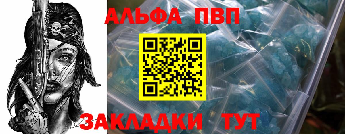 A-PVP СК Электрогорск