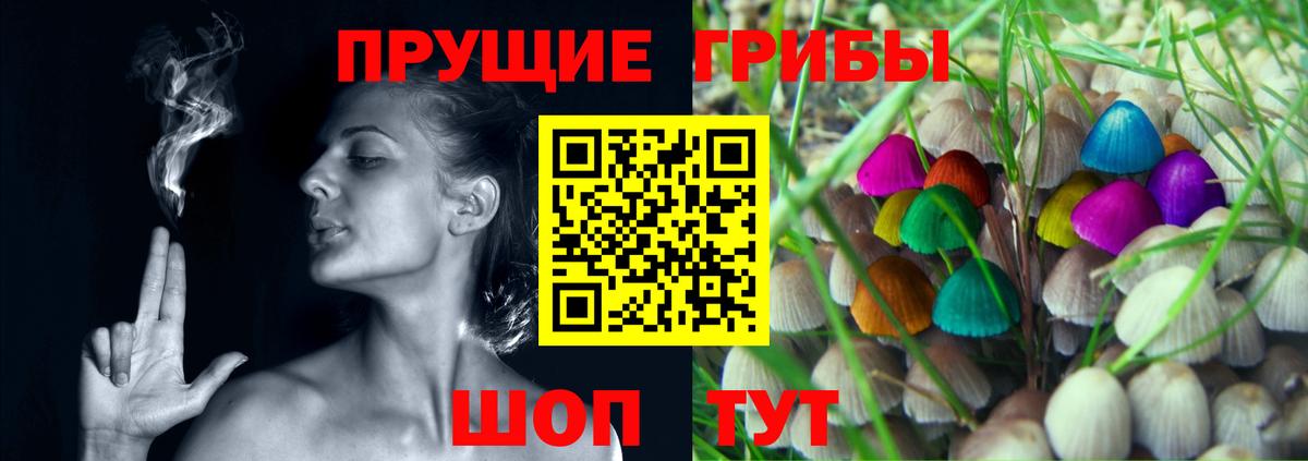 Псилоцибиновые грибы GOLDEN TEACHER Электрогорск