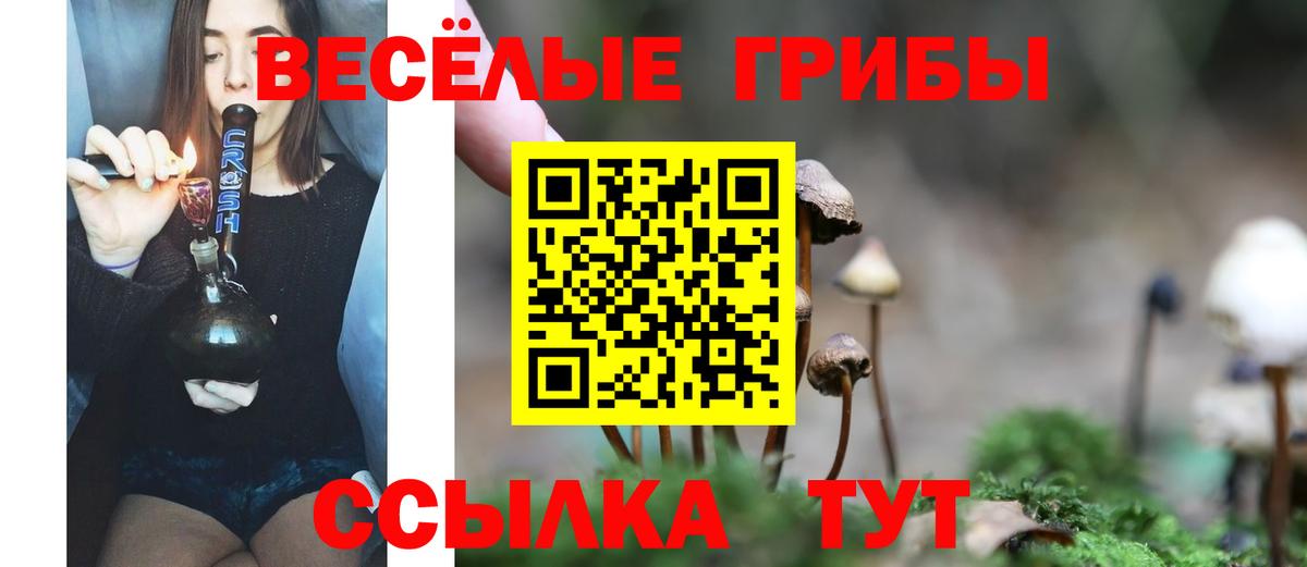 Электрогорск  Галлюциногенные грибы Cubensis  наркотики  Галлюциногенные грибы ЛСД  Вход с VPN 