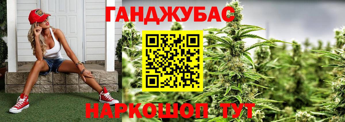 Канабис план Электрогорск